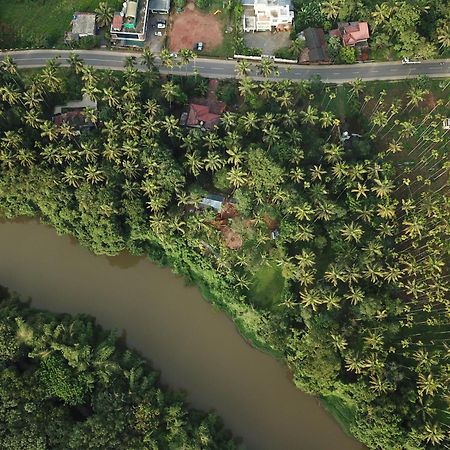 Paddyfield Inn Mananthavady Zewnętrze zdjęcie