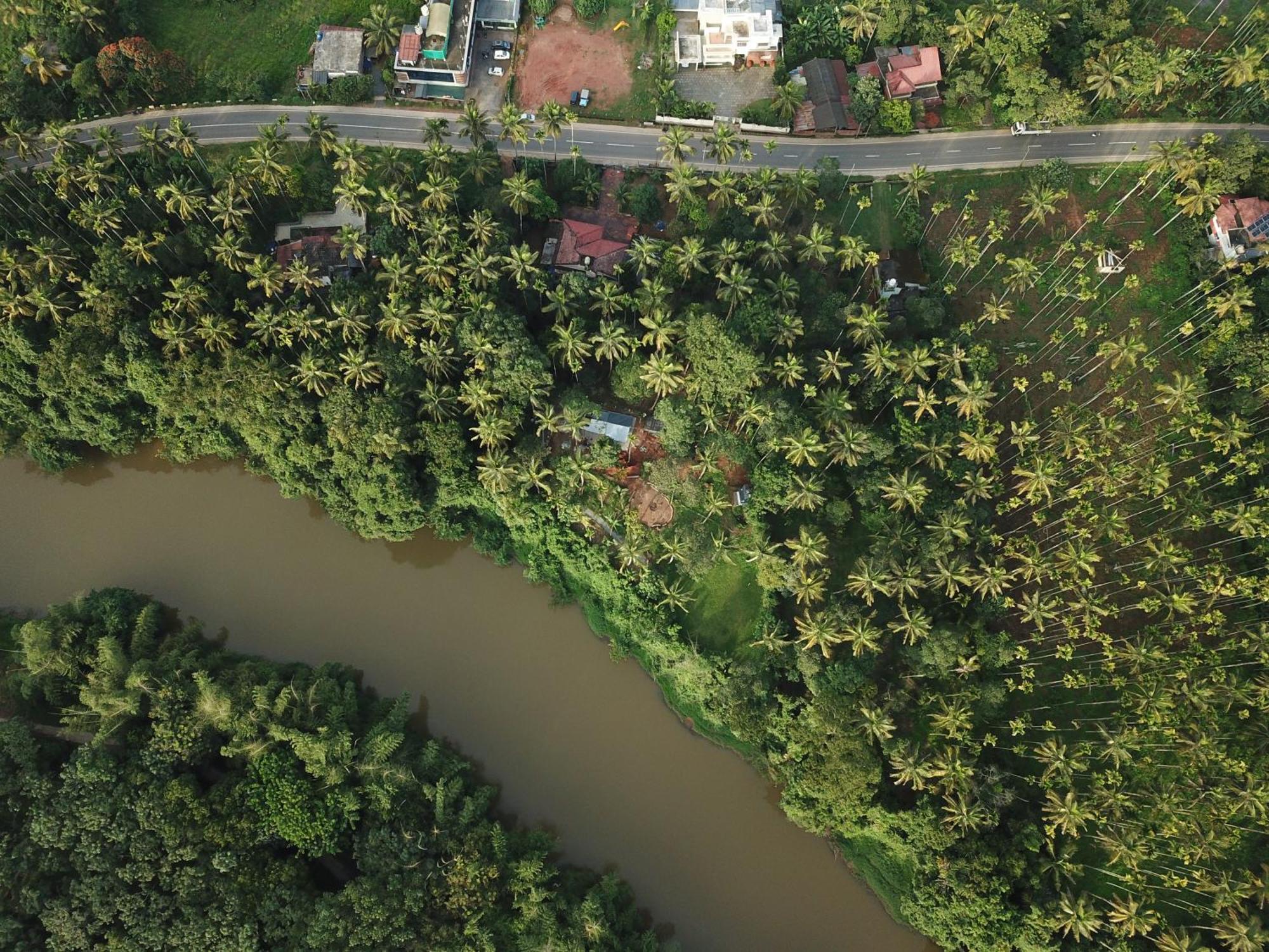Paddyfield Inn Mananthavady Zewnętrze zdjęcie