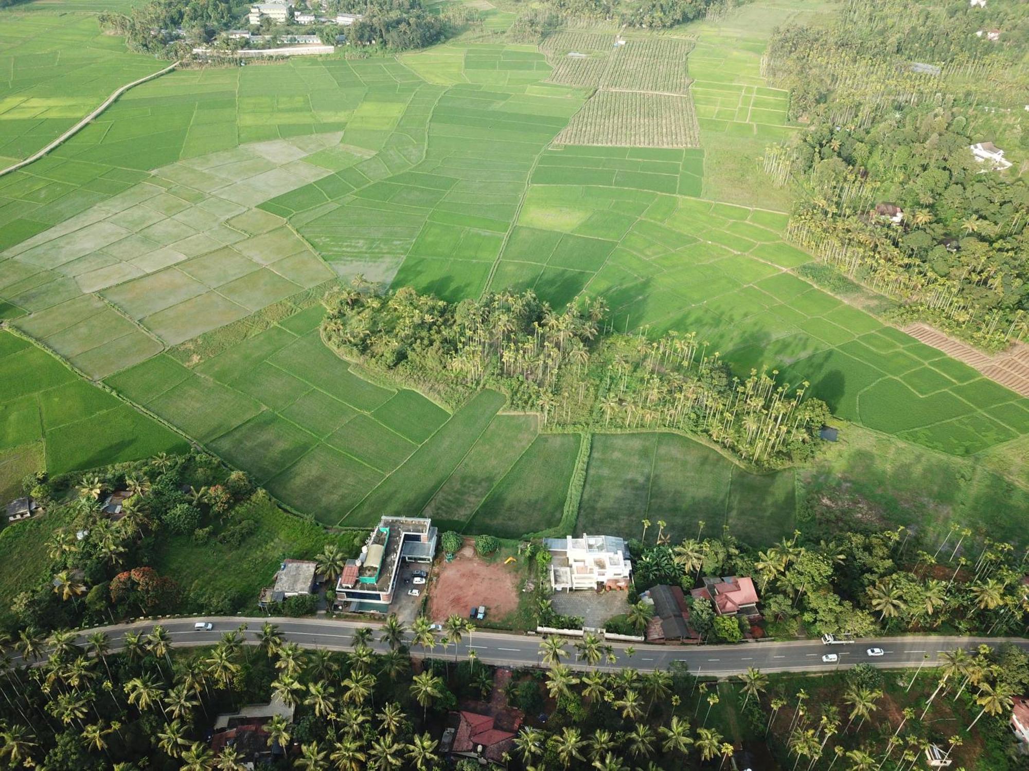 Paddyfield Inn Mananthavady Zewnętrze zdjęcie