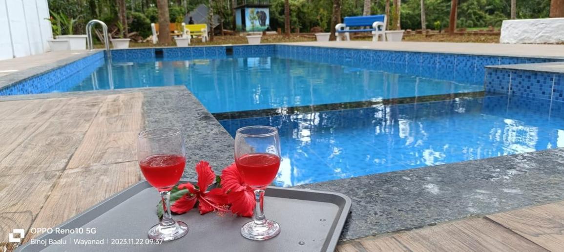 Paddyfield Inn Mananthavady Zewnętrze zdjęcie