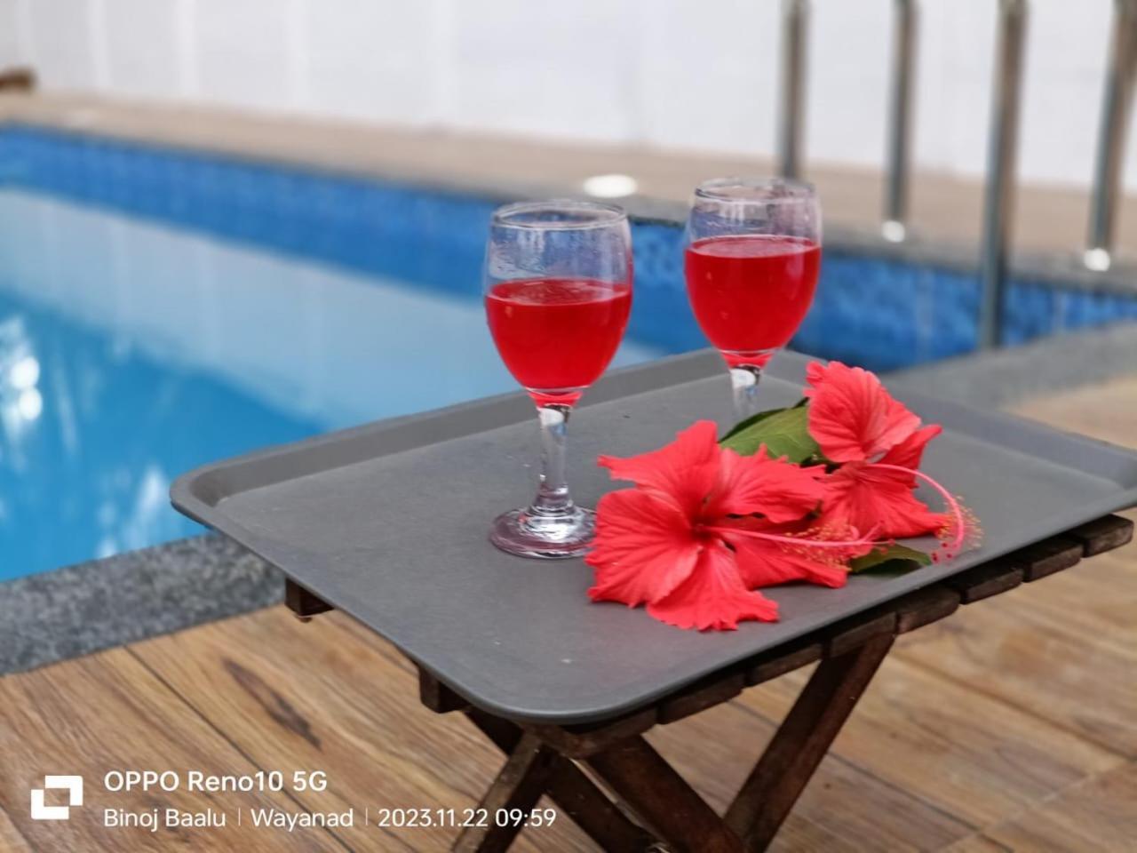 Paddyfield Inn Mananthavady Zewnętrze zdjęcie
