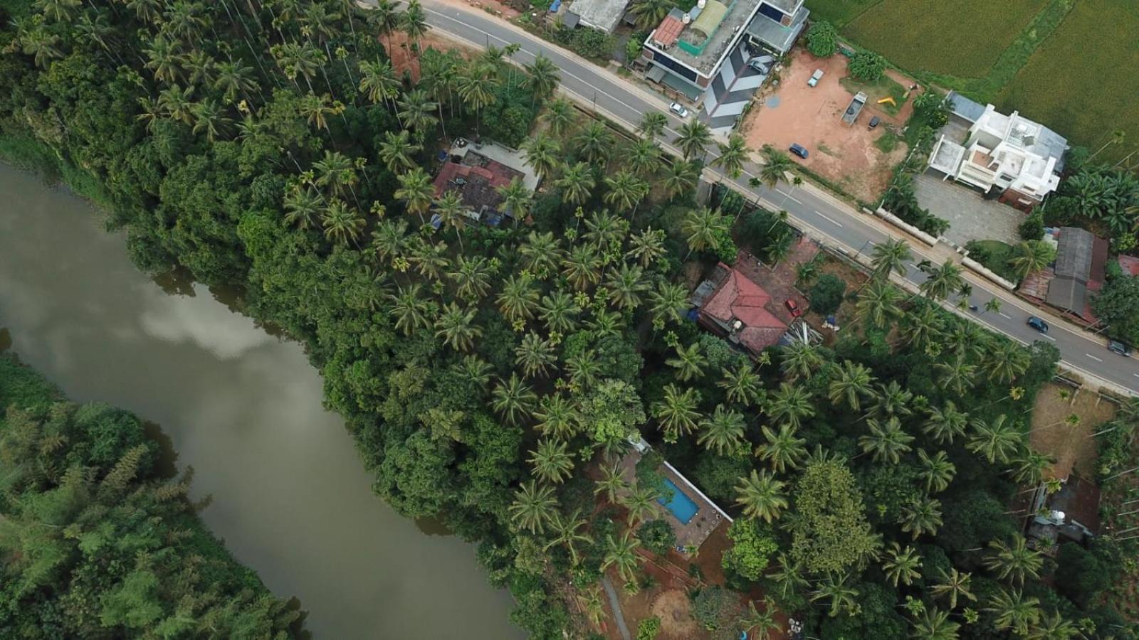 Paddyfield Inn Mananthavady Zewnętrze zdjęcie