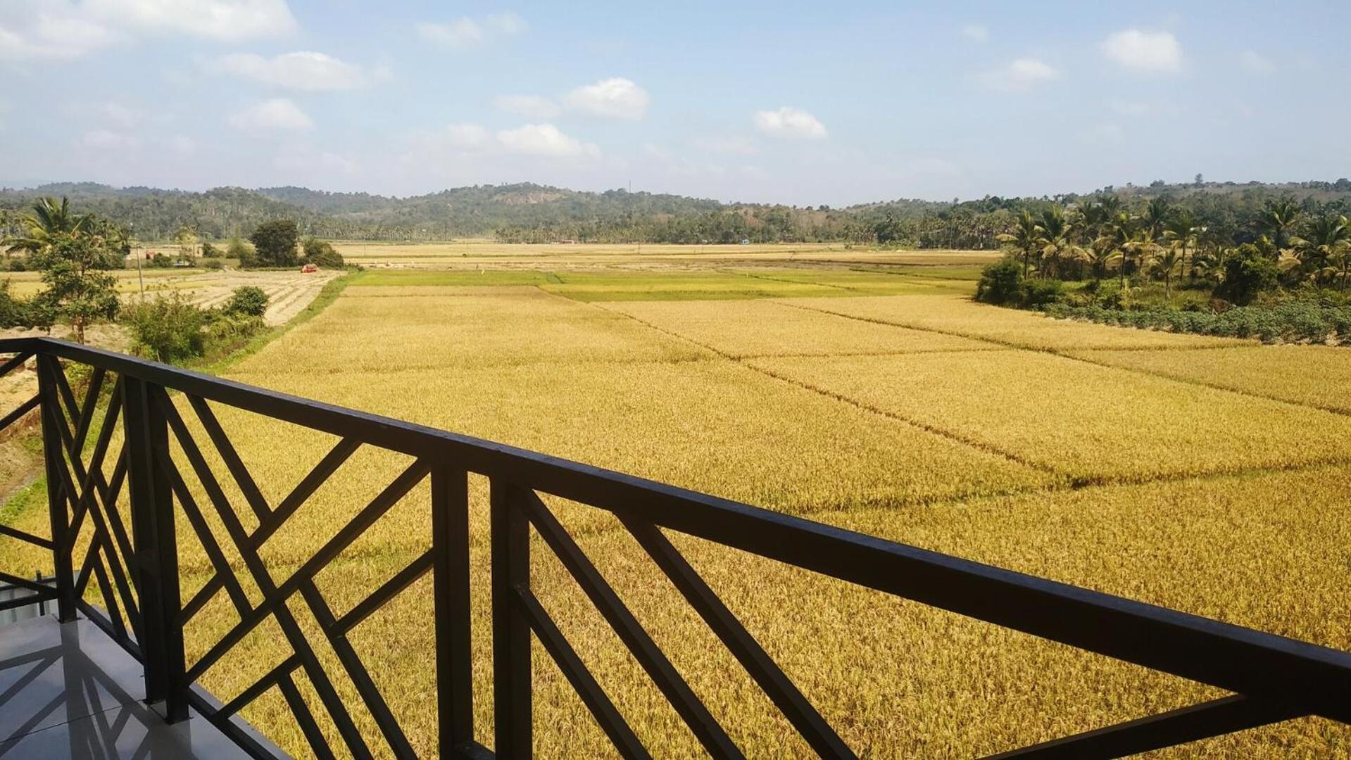 Paddyfield Inn Mananthavady Zewnętrze zdjęcie