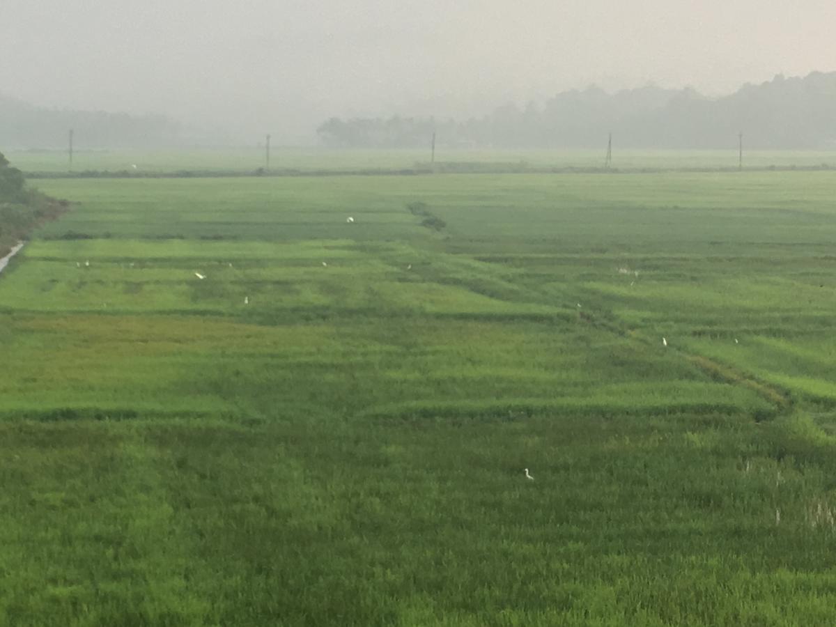 Paddyfield Inn Mananthavady Zewnętrze zdjęcie